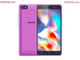 Walton Primo E10